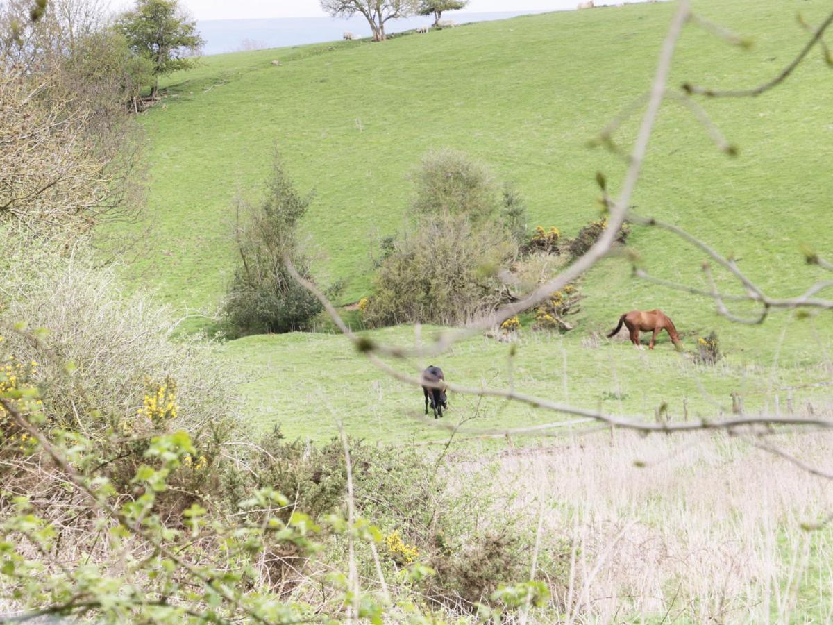 16 Badgers Retreat Villa Richmond  Dış mekan fotoğraf
